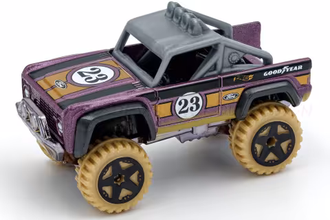 Custom Ford Bronco